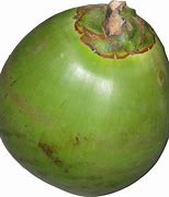 Image result for Coconut Water Small Cartons