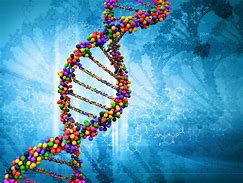 Image result for APA Itu DNA