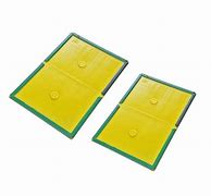 Image result for Mouse Glue Boards