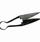 Image result for Grass Shears