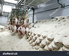 Image result for Salt Cured Ham