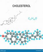 Image result for Cholesterol Molecule Diagram