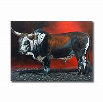 Image result for Nguni Bull Pictures