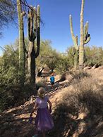 Image result for Phoenix Nature Preserve