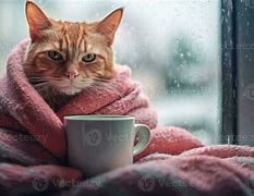 Image result for Cat Drinking Tea