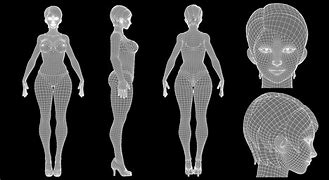 Image result for Body 3D Model Maker