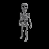 Image result for Skeleton Wizard Roblox