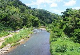 Image result for Puerto Rico Rivers