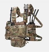 Image result for AWS M14 Chest Rig