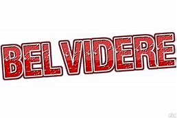 Image result for Belvidere North Bell Logo