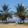 Image result for Tourisme Cameroun