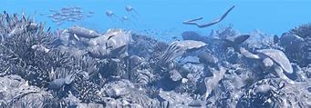 Image result for Coral Reef HMH Book