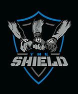 Image result for WWE DX Spit Shield