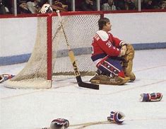 Image result for Wayne Stephenson Hockey