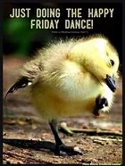 Image result for Happy Friday Cute Animals