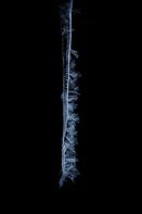 Image result for Icicle Pics