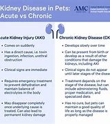 Image result for Chronic Kidney Disease