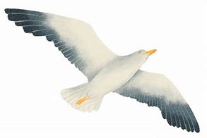 Image result for Flying Seagull Clip Art