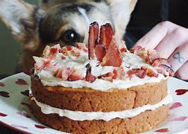 Image result for Cheer Up Dog Cake