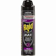 Image result for Raid Bug Spray Logo