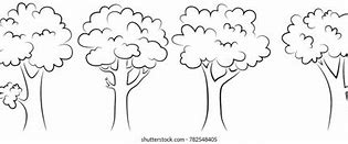 Image result for Tree Outline Graphic