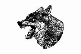 Image result for Wolf Head Icon