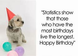 Image result for Absurd Birthday Wishes