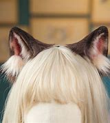 Image result for Cat Ear Masks