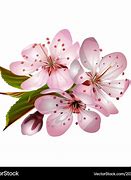 Image result for Pink Sakura Katana