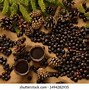 Image result for Pine Liqueur