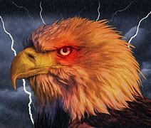 Image result for Storm'n Eagle HD