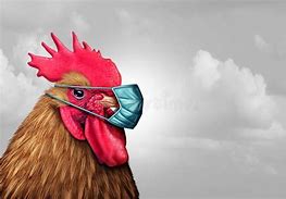 Image result for Game with the Chicken Mask