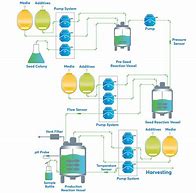 Image result for Fermentation Processes