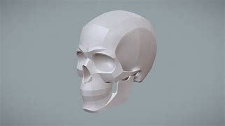 Image result for Human Skull in All Angles 3D