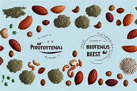 Image result for Protein without Dairy