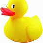 Image result for Sulky Duck