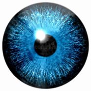 Image result for Free Eye Texture