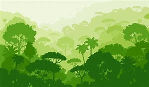 Image result for Pohon Outdoor Vector