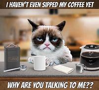 Image result for Grumpy Cat with Coffee