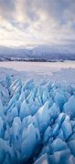 Image result for Arctic Ground Cover Alaska