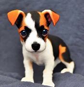 Image result for Baby Fox Terrier