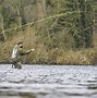 Image result for Sage Fly Fishing