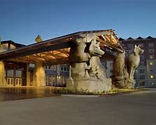 Image result for Great Wolf Lodge in Washington