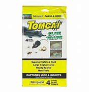 Image result for Tomcat Glue Boards