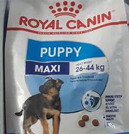 Image result for Royal Canin Maxi Puppy