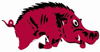 Image result for Arkansas Razorbacks