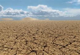 Image result for Dried Desert