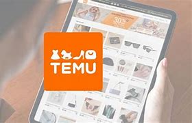 Image result for Temu Man