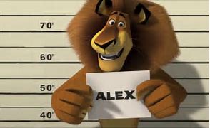 Image result for Madagascar 3 Alex