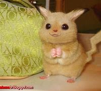 Image result for Real Life Pikachu